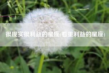 很现实很利益的星座