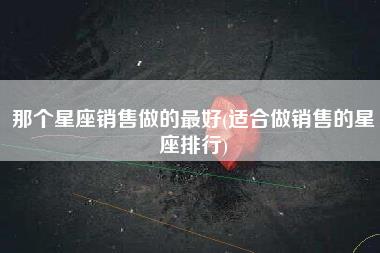 那个星座销售做的最好