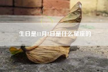 生日是11月8日是什么星座的