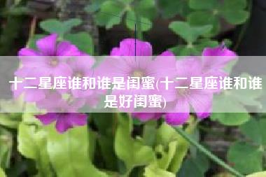 十二星座谁和谁是闺蜜