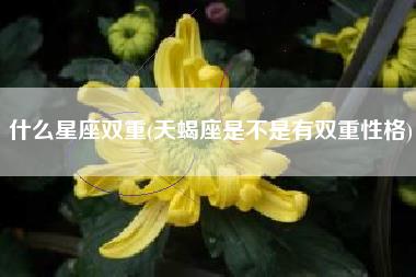 什么星座双重