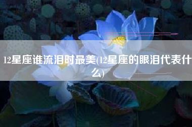 12星座谁流泪时最美