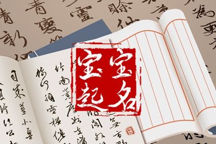 双胞胎宝宝起名字大全 有创意的双胞胎名字