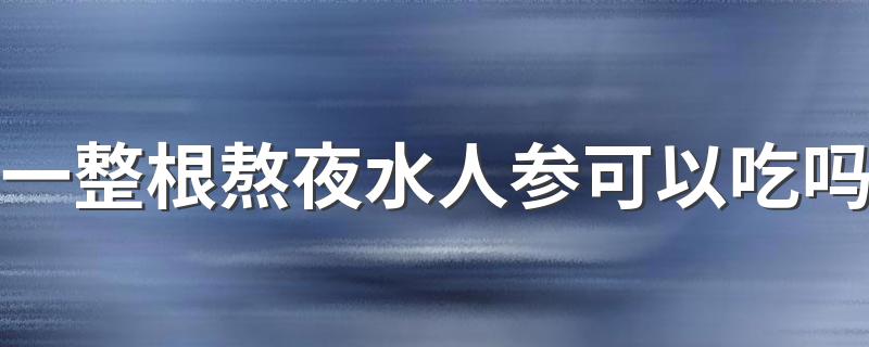 一整根熬夜水人参可以吃吗 一整根熬夜水哪儿生产的