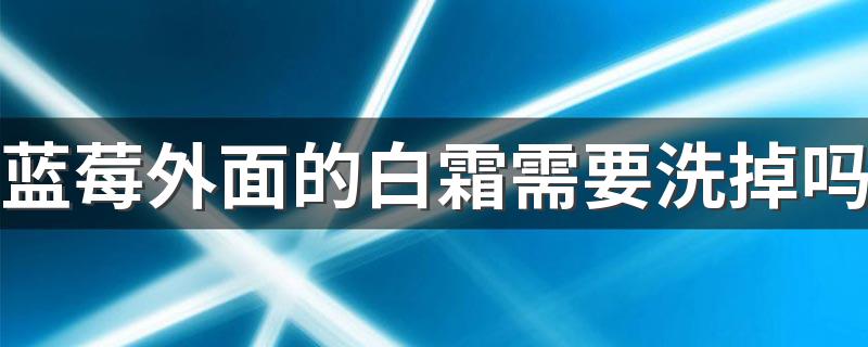 蓝莓外面的白霜需要洗掉吗 蓝莓上的白霜是什么东西