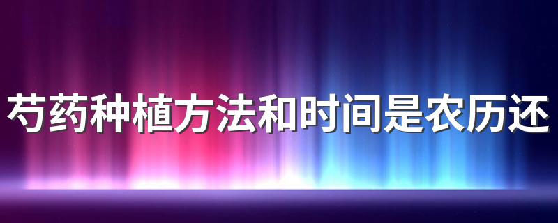 芍药种植方法和时间是农历还是阳历 芍药能放卧室吗