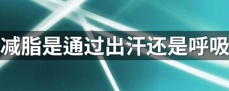 减脂是通过出汗还是呼吸 为什么说减肥是通过呼吸运动减肥