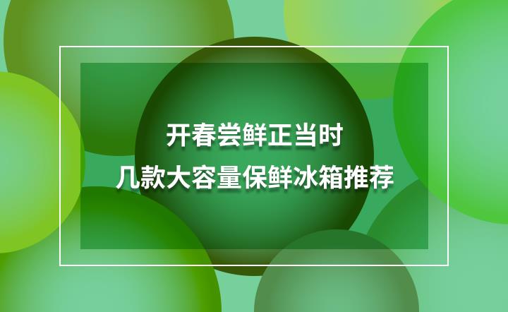 冰箱推荐品牌（两人用的小冰箱推荐）