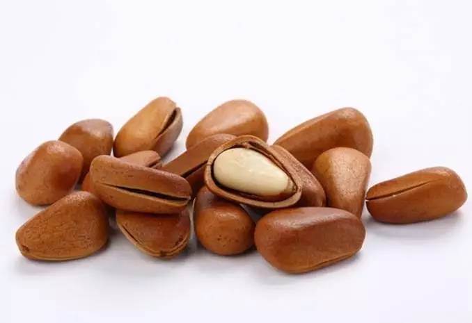 豆类坚果类食物有哪些（新疆干果品种一览表）