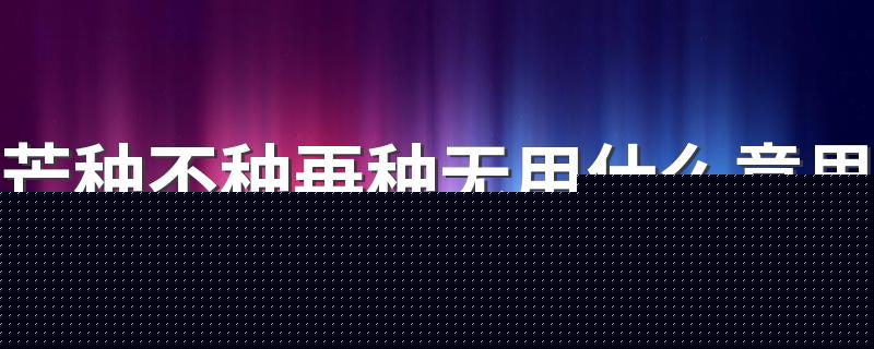 芒种不种再种无用什么意思 收麦子在芒种