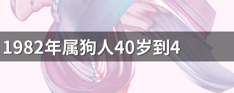 1982年属狗人40岁到49岁运程 1982年狗40岁后十年大运运程好不好