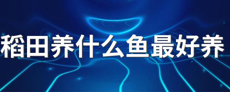 稻田养什么鱼最好养 稻田养鲤鱼好还是草鱼好