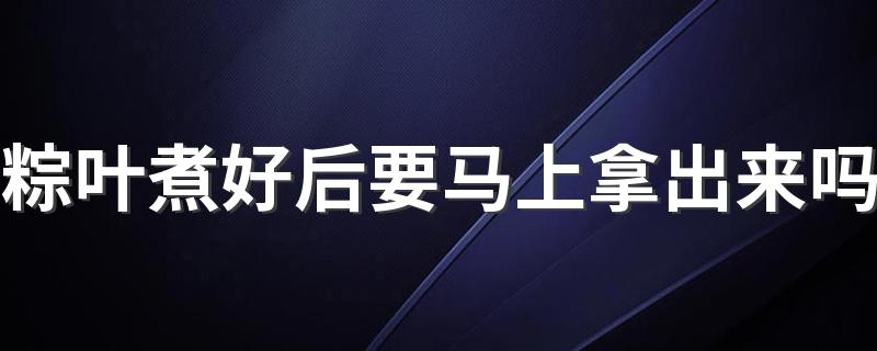 粽叶煮好后要马上拿出来吗 粽叶不煮可以包粽子吗
