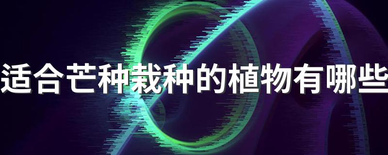 适合芒种栽种的植物有哪些 芒种栽薯重十斤
