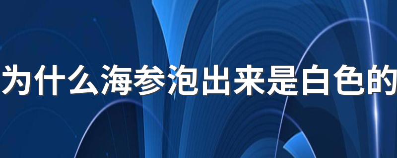 为什么海参泡出来是白色的 干海参发白是发霉了吗