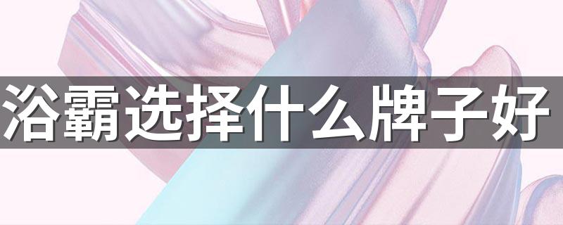 浴霸选择什么牌子好 浴霸十大公认品牌排行榜