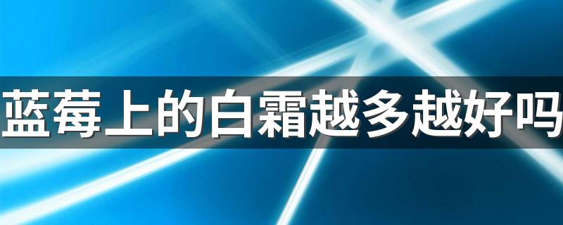 蓝莓上的白霜越多越好吗 蓝莓上的白霜能吃吗
