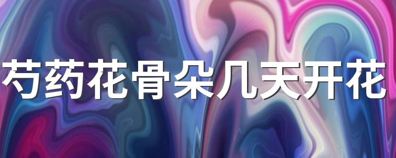 芍药花骨朵几天开花 芍药花期一般开多长时间