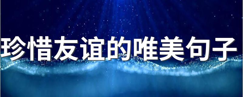 珍惜友谊的唯美句子 有幸相遇不负遇见的句子