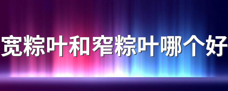 宽粽叶和窄粽叶哪个好 包粽子粽叶要煮吗
