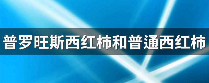普罗旺斯西红柿和普通西红柿怎么区分 普罗旺斯西红柿哪里的最正宗
