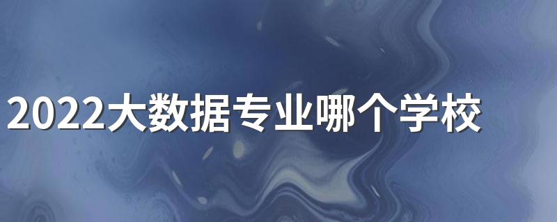 2022大数据专业哪个学校好