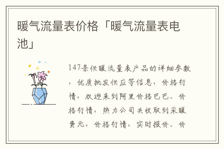 暖气流量表价格「暖气流量表电池」