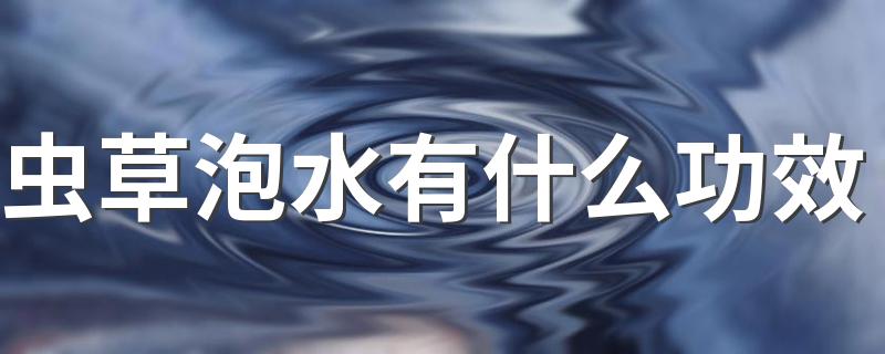 虫草泡水有什么功效 冬虫夏草泡水应该放多少根