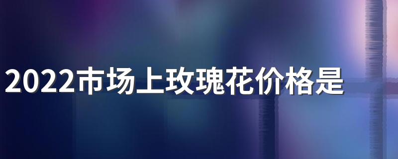 2022市场上玫瑰花价格是多少钱一株？