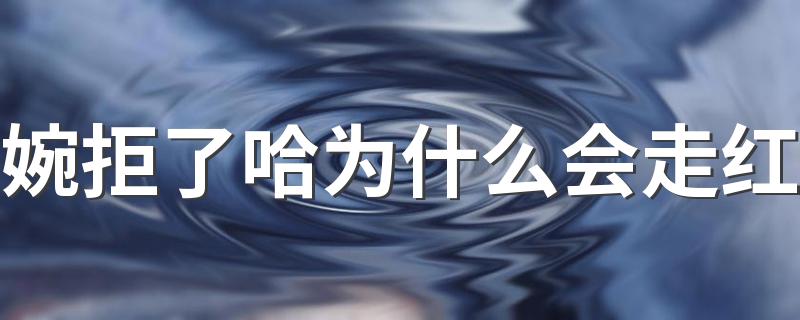 婉拒了哈为什么会走红 还有哪些委婉的拒绝方式