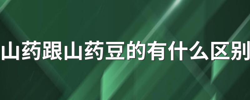 山药跟山药豆的有什么区别 山药豆打豆浆要去皮吗