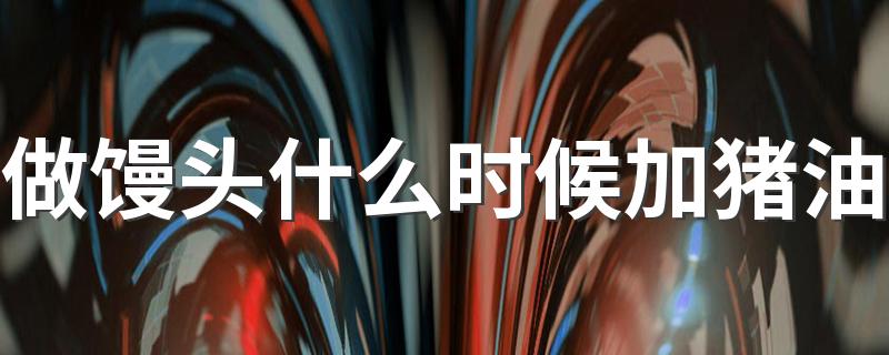 做馒头什么时候加猪油 做馒头放多少猪油好