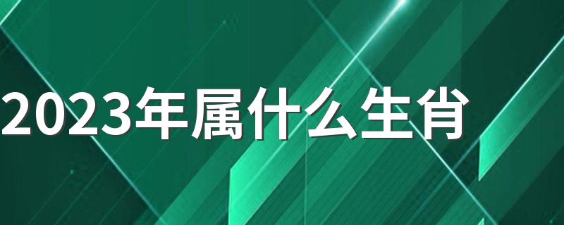 2023年属什么生肖 2023年几月出生命最好