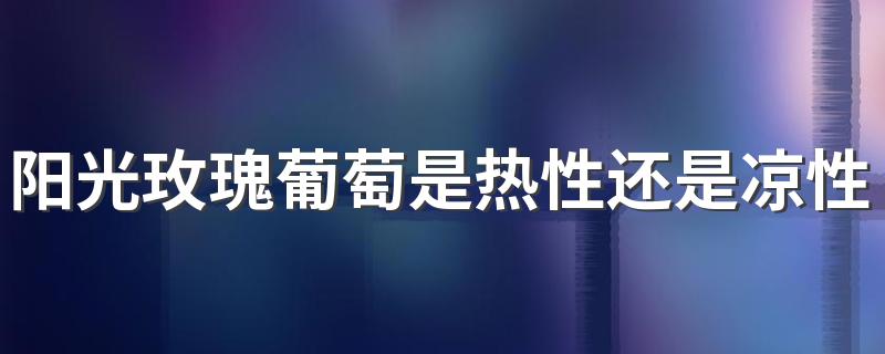阳光玫瑰葡萄是热性还是凉性 阳光玫瑰葡萄什么时候上市
