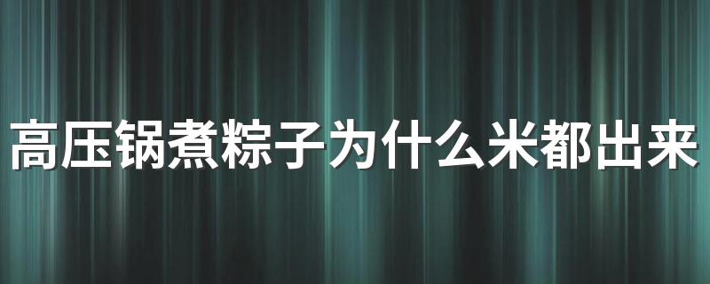 高压锅煮粽子为什么米都出来了 怎样用高压锅煮粽子