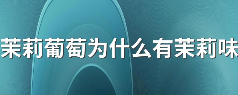 茉莉葡萄为什么有茉莉味 茉莉香葡萄是哪里的