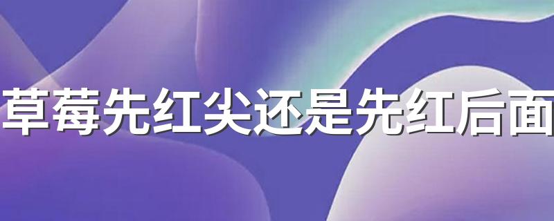 草莓先红尖还是先红后面 草莓尖尖是绿色的可以吃吗