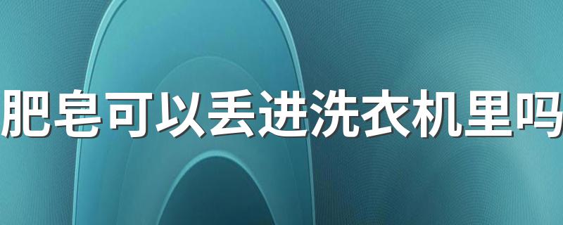 肥皂可以丢进洗衣机里吗 洗衣机皮圈用什么清洗
