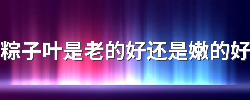 粽子叶是老的好还是嫩的好 包粽子用什么叶子比较好