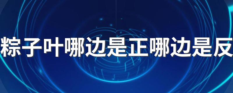粽子叶哪边是正哪边是反 粽叶可以反复使用吗