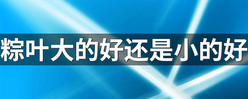 粽叶大的好还是小的好 粽叶怎么煮又软又香