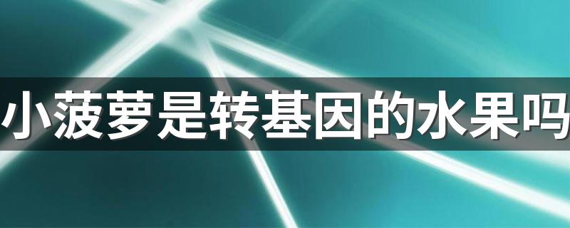 小菠萝是转基因的水果吗 小菠萝怎么吃法