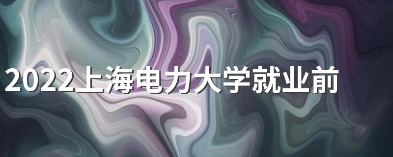2022上海电力大学就业前景