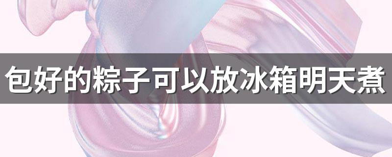 包好的粽子可以放冰箱明天煮吗 普通锅煮粽子要多久