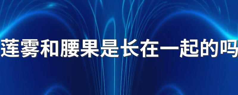 莲雾和腰果是长在一起的吗 莲雾里面是实心还是空心