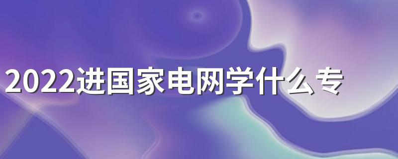 2022进国家电网学什么专业