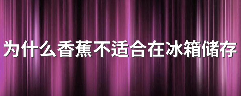 为什么香蕉不适合在冰箱储存 香蕉应该如何储存
