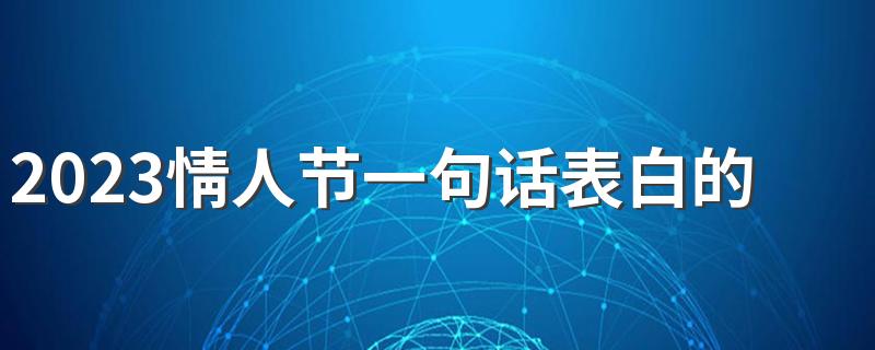 2023情人节一句话表白的个性签名 堕落始于你看我的每一眼