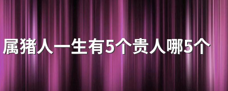 属猪人一生有5个贵人哪5个 属猪人最大靠山是谁