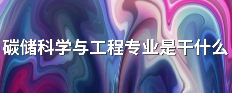 碳储科学与工程专业是干什么的